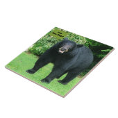 Carreau Ours Noir - "Ours Libre Hugs-Cubby Ours Noir" (Côté)