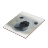 Carreau Ours polaire (Côté)