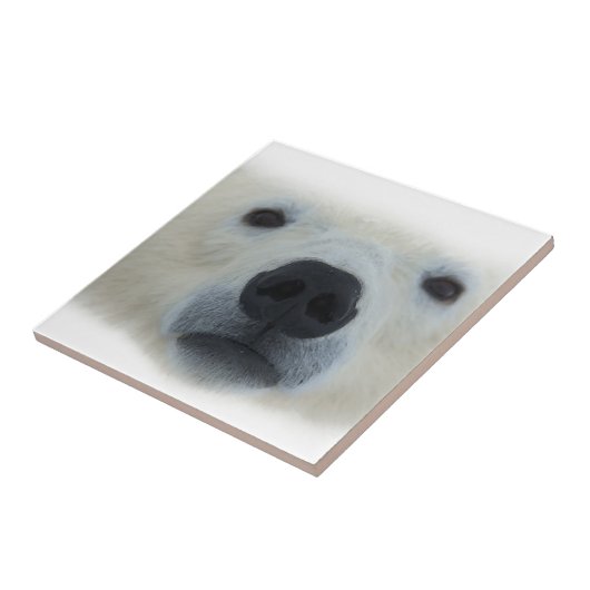 Carreau Ours polaire (Côté)