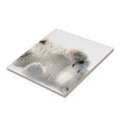Carreau Ours polaire Cube Animal Arctic Froid Hiver (Côté)