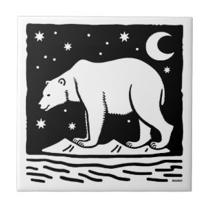 Carreau Ours polaire de surf de glace