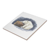 Carreau Ours polaire dormant, aquarelle (Côté)