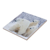 Carreau Ours polaires et deux petits (Côté)