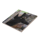 Carreau Oursons de l'ours noir se reposant (Côté)
