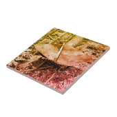 Carreau Outils De Jardin Routeux En Noir Et Blanc (Côté)