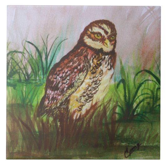Carreau Owl in nature watercolor art (Devant)