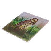 Carreau Owl in nature watercolor art (Côté)