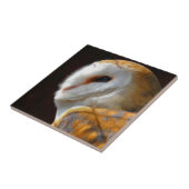 CARREAU OWLS (Côté)