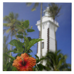 Carreau Pacifique Sud, Polynésie française, Tahiti. Hibisc