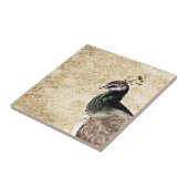 Carreau Pacock (Côté)