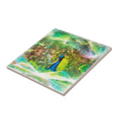 Carreau Paiement numérique de Peacock (Côté)