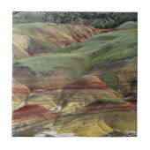 Carreau PainPeinture Hills, John Day Fossil Beds, Mitchell (Devant)