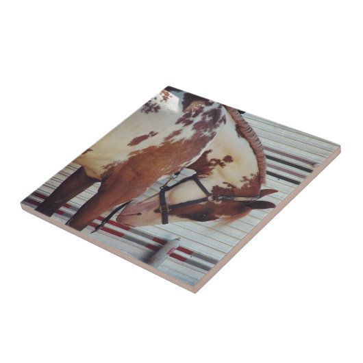 Carreau Paint (Côté)