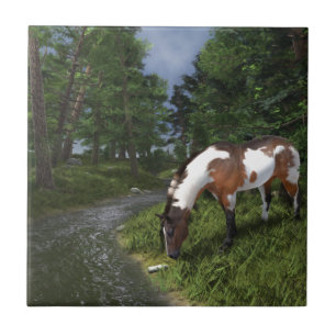 Carreau Paint Horse by Forest Stream