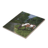 Carreau Paint Horse by Forest Stream (Côté)