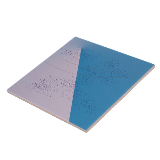 Carreau Paint Splatter (Côté)