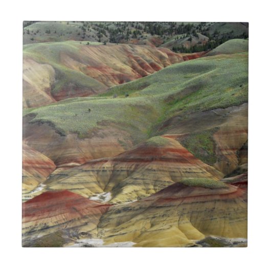 Carreau Painted Hills, lits fossilifères de John Day, Mitc (Devant)