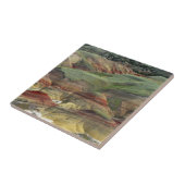 Carreau Painted Hills, lits fossilifères de John Day, Mitc (Côté)