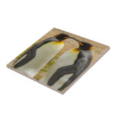 Carreau Pair of King Penguins (Côté)