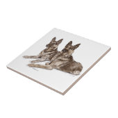 Carreau Paire de chiens bergers allemands (Côté)