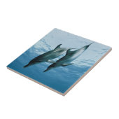 Carreau Paire de dauphins (Côté)