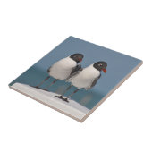 Carreau Paire de Mouettes à tête noire (Côté)