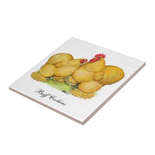 Carreau Paire de pagination des pièces (Côté)