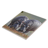 Carreau Paire d'hippopotames (Côté)