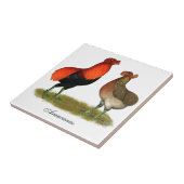 Carreau Paires de rouge d'Araucana (Côté)