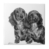 Carreau Paires de teckel (Devant)