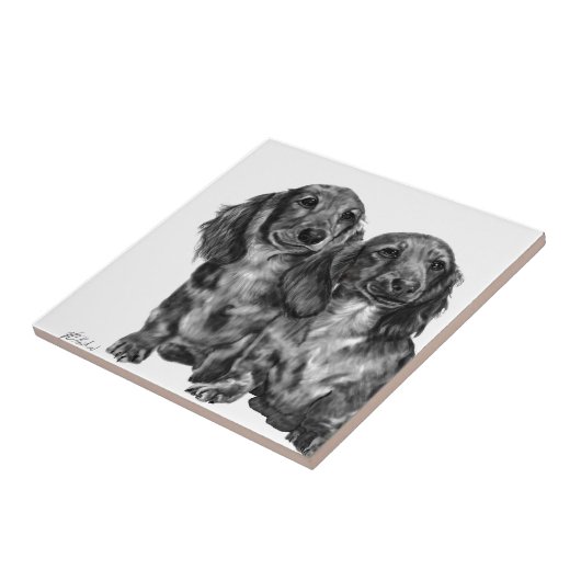 Carreau Paires de teckel (Côté)