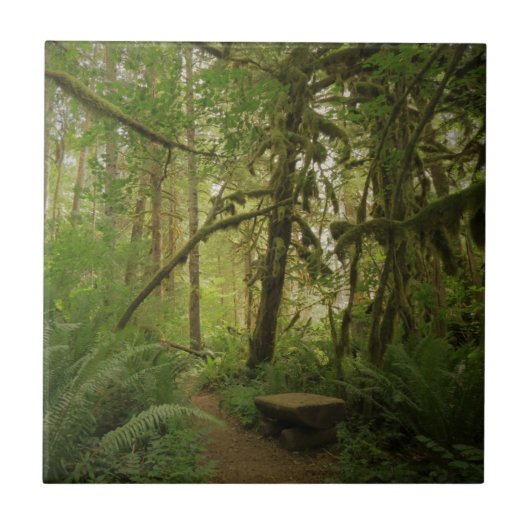 Carreau Paisible Green Forest Trail à Washington (Devant)