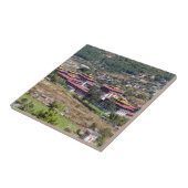 Carreau Palais du roi à Thimphu - Bhoutan (Côté)