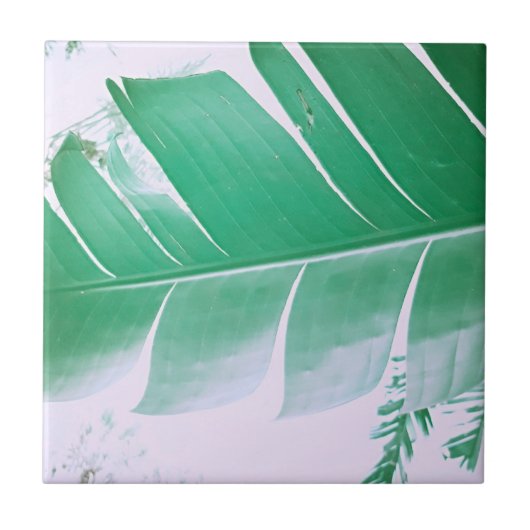 Carreau Pale Green Pastel Banana Tree Leaf Adulte (Devant)