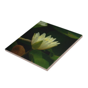 CARREAU "PALE JAUNE LOTUS BLOSSOM" CARRELAGE CÉRAMIQUE/TRI