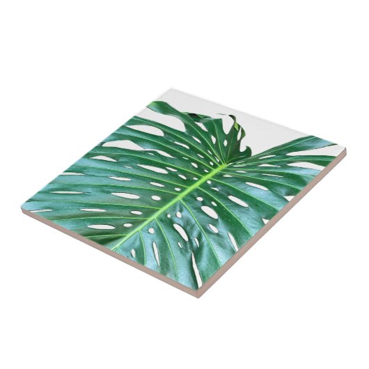 Carreau Palm Leaf, feuillage tropical, forêt tropicale (Côté)