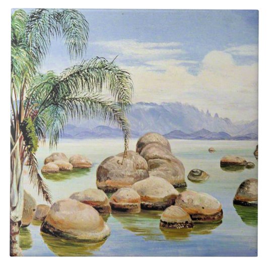 Carreau Palm Trees and Boulders, Bay of Rio, (Devant)
