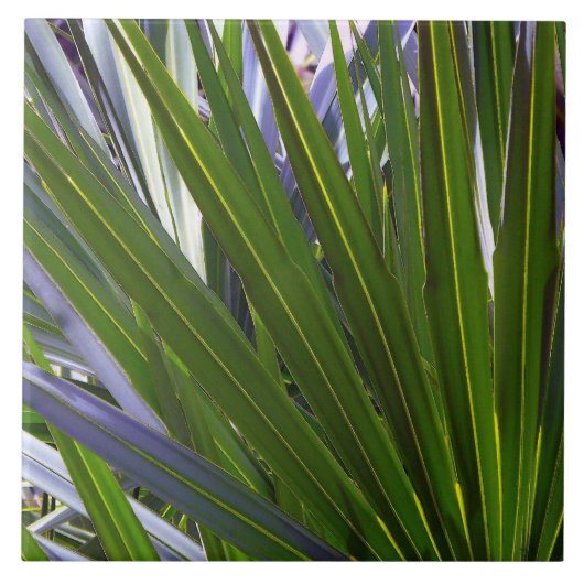 Carreau Palmetto Tropicale (Devant)