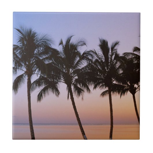 Carreau Palmier, matin (Devant)