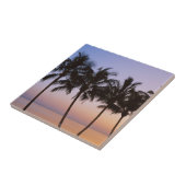 Carreau Palmier, matin (Côté)