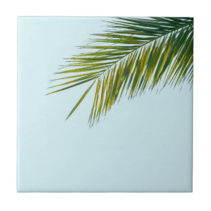 Carreau Palmier Vert Tropical sur Fond Bleu Clair