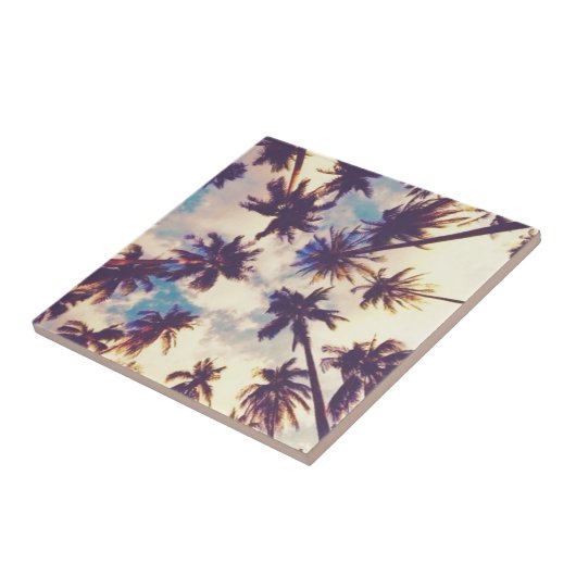 Carreau Palmiers (Côté)