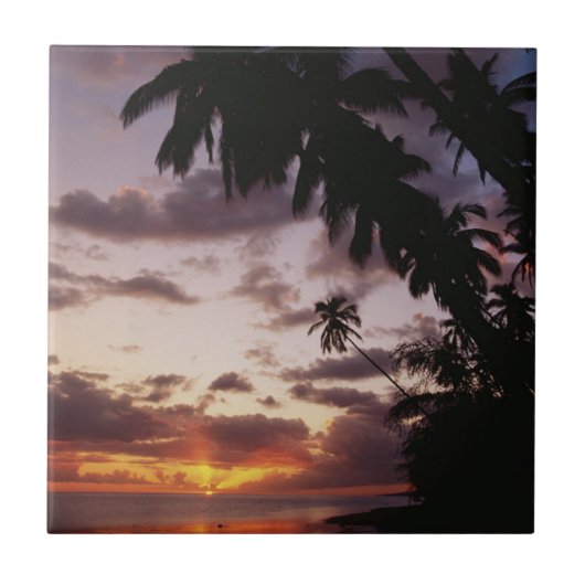 Carreau Palmiers au bord de la mer (Devant)