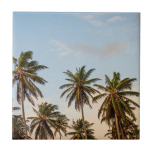 Carreau Palmiers de vacances tropicaux