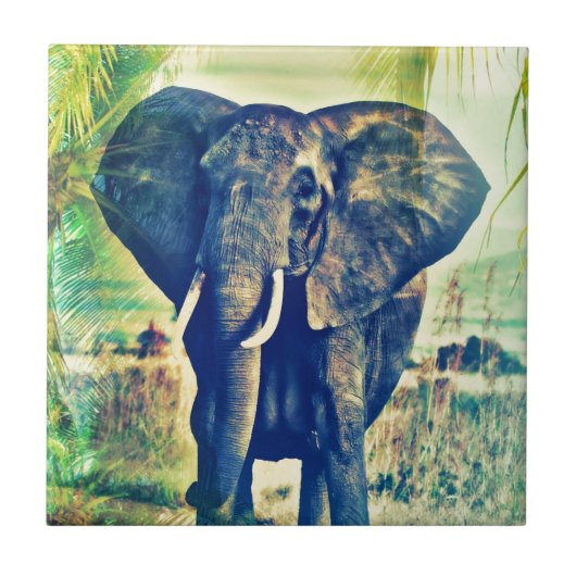 Carreau Palmiers éléphant (Devant)