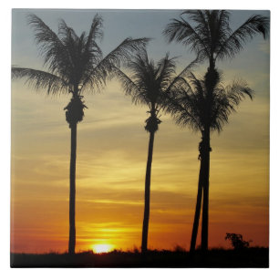 Carreau Palmiers et couchers de soleil, plage de Mindil