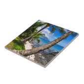 Carreau Palmiers Le Long De La Plage D'Hideaways (Côté)