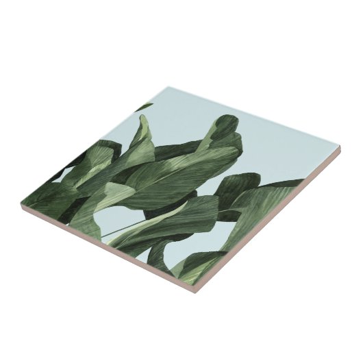 Carreau Palms Celadon (Côté)