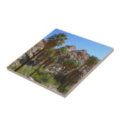 Carreau Palms perdus Oasis I au parc national de Joshua Tr (Côté)