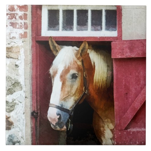 Carreau Palomino par la porte de la grange (Devant)